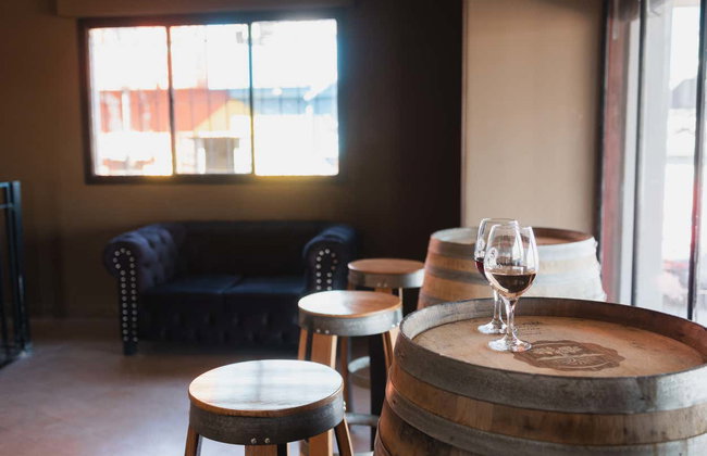 Mendoza Wine Tasting Experience - Photo 8