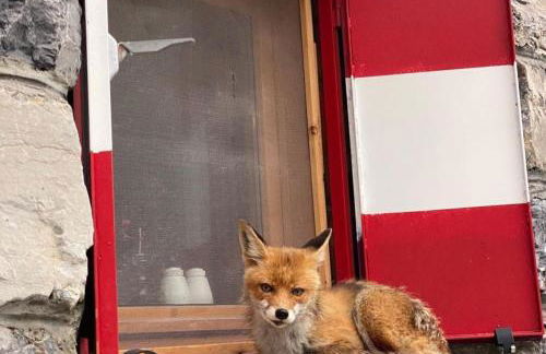 CAMERE Panorama relax garden With Free Parking - Foto 45