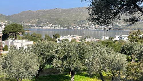 The Velanidies - Οι Βελανιδιές - Foto 1