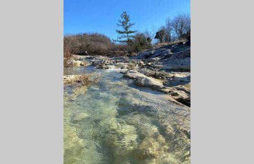 Villa Stanzietta Novigrad for 10 at Olive orchard - Foto 61