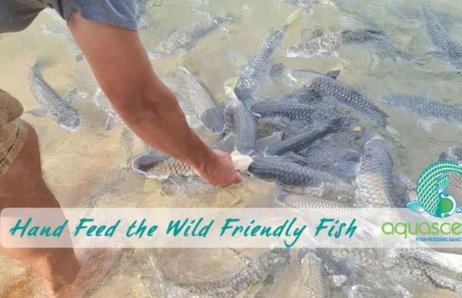 Water-front Paradise Pool - BBQ - Balcony Dining - Foto 46