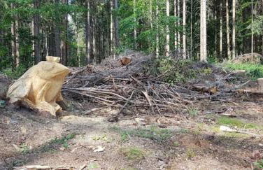 Black Forest Bergliebe Pool Terrasse Natur Ruhe Komfort - Foto 27