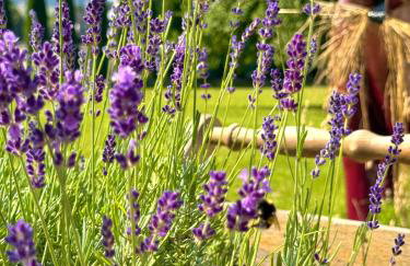 Apartamenty Agroturystyczne Papiernia Grill, Sauna & Jacuzzi - Foto 55