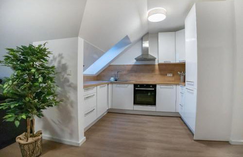 High-quality renovated apt (TLA/Tlf/TDY-RAB) - Foto 9