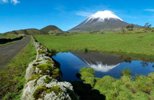 Casa Do Avô Faidoca # PICO HOLIDAY RENTALS - Photo 12