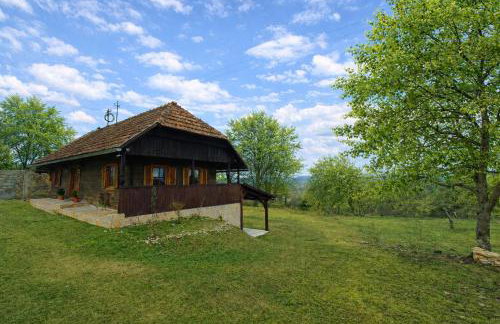 Šumski san - Foto 1