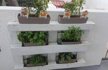 Residence Orsa Minore - Foto 5