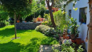 Haus Schneider - Foto 5, Garden