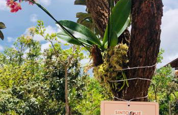 Flat Safira com hidro - Chapada dos Veadeiros - Foto 26