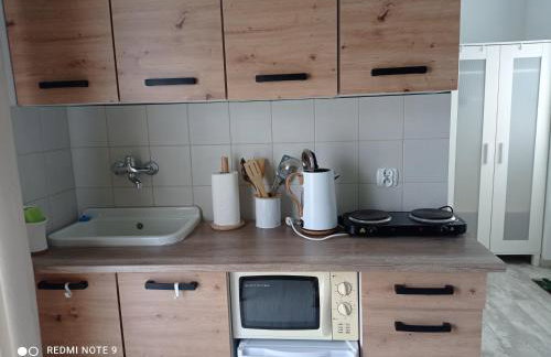 Studio Leśne - Foto 9