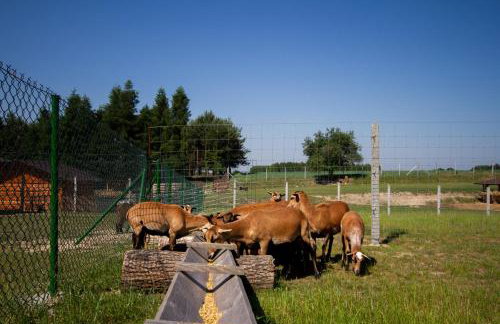 Zagroda Nad Kotelnią - Foto 73