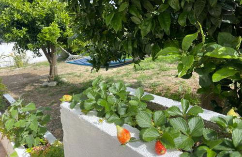 Neto Pinto - Casa de férias / fins de semana. - Photo 42