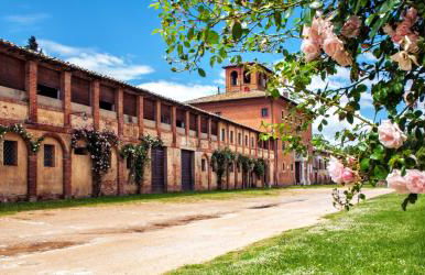 Tenuta la Fratta - Photo 16