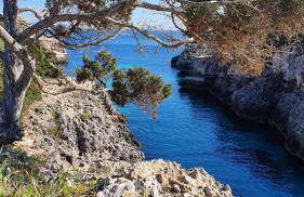 Villa Sirena - Foto 66