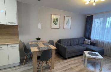 Mieszkanie w centrum z oddzielną sypialnią - Foto 1