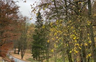 Diemelquelle - Foto 15