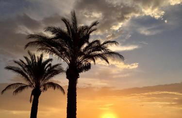 Casa Mandarino - Foto 23