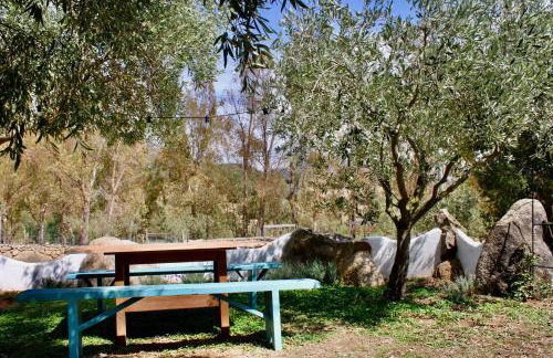 Domo Galàna - Foto 43