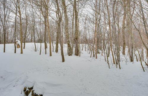 Jay Peak Resort Vacation Rental Ski-InandSki-Out! - Foto 26