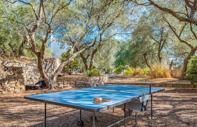 Villa Alkyon in Paxi - Foto 16