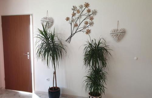 Ana‘s Ferienwohnung - Foto 8