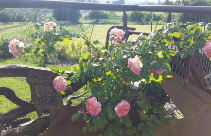 Casa Valxisto Country House - Foto 78