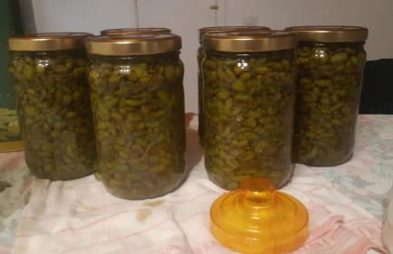 Agriturismo Gli Antichi Sapori - con stazione di ricarica veicoli elettrici - Foto 37