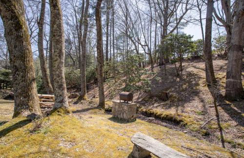 Happy Apple - Foto 8