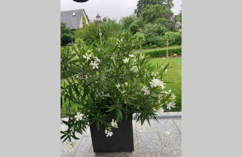 Gemütliche Ferienwohnung im Hunsrück - Foto 38