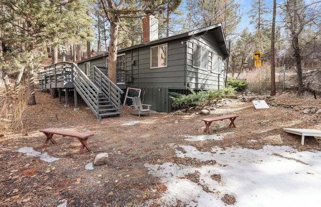 Dark Pine Retreat - Foto 16