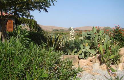 Caviro on the Beach - Foto 34