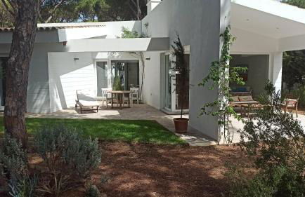 Diseño y luz entre los pinos - Foto 4