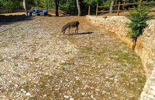 Alojamiento Rural Las Maravillas - Foto 51