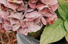 Ferienwohnung Frieda, Merzig - Photo 23