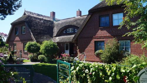 Reethaus im Biosphärenreservat - Foto 3, Garden, Garden view