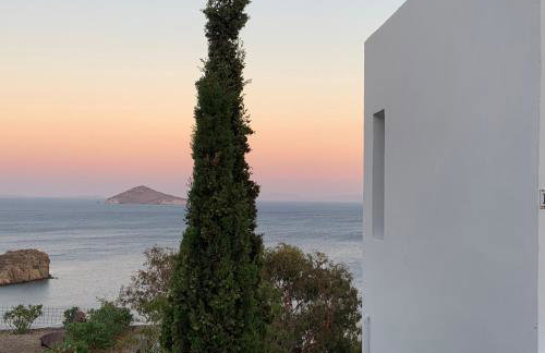 PATMOS Confidential - Foto 2