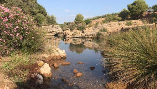 Apartamentos Rurales Fuente de Marzo - Foto 3