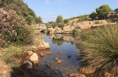 Apartamentos Rurales Fuente de Marzo - Foto 3