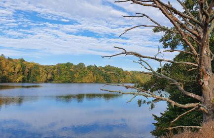 Lawki Booking - Foto 58