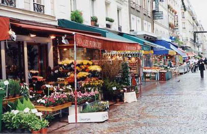 CENTRAL and COSY 1 bedroom apartment - Foto 23