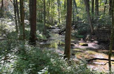 Shallow Creek Suite - Foto 9