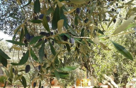 Sunny holiday home - Foto 12