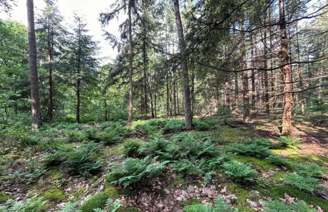 Apartment in Gelderland Near Nature Trails - Photo 39