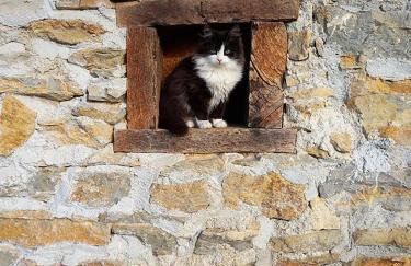 Vila Bella Vista - Foto 14