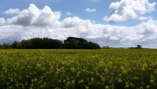 Druidenhain Hof Neudamm - Foto 5
