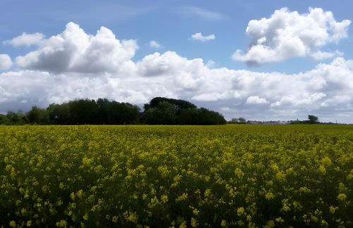 Druidenhain Hof Neudamm - Foto 5