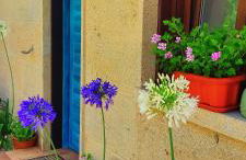 Casa nueva en Vigo Rural Mos con Jacuzzi y chimenea - Foto 15