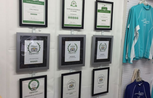 Coral Paradise Resort - Foto 5