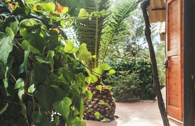 Case Vacanza Podere Risoino - Foto 93