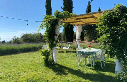 Tenuta Le Mandorlaie, Agriturismo in Scansano - Foto 17